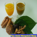 Tips Alami Mengobati Maag APK