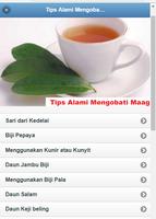 Natural Tips To Treat Ulcer Affiche