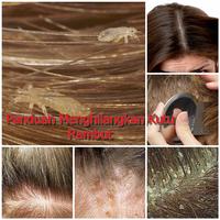 Cara Menghilangkan Kutu Rambut скриншот 1