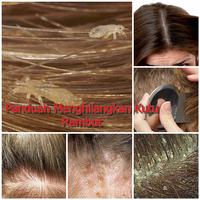 Cara Menghilangkan Kutu Rambut Screenshot 2