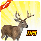 Tips Deer Hunter أيقونة