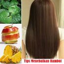 Tips Menebalkan Rambut APK