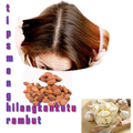 Tips to Eliminate Hair Mite