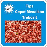 tips to raise platelet Affiche