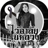 แต่งรูปโปรไฟล์สีดำ ติดริบบิ้นดำโบว์ดำ Black Ribbon
