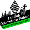 Odenwälder Fohlen