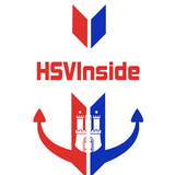 HSVInside simgesi