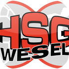 HSG Wesel icône