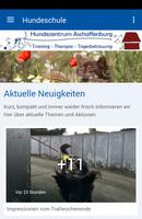 Hundeschule Aschaffenburg 포스터