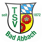 TSV Bad Abbach icono
