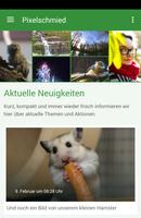 Poster Der Pixelschmied