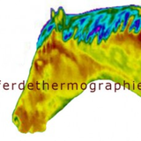 Pferdethermographie アイコン