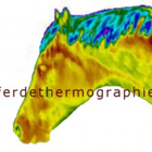 Pferdethermographie icône