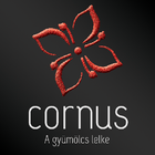 Cornus Palinka иконка