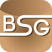 BSG Beratungsservice GmbH