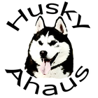 Husky-Ahaus ไอคอน