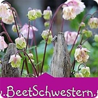 BeetSchwestern - Gartenblog Zeichen