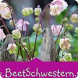 BeetSchwestern - Gartenblog icône