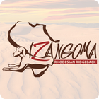 iZangoma icon