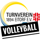 TVE Volleyball icône