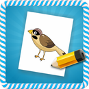 How To Draw :Birds-APK