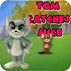 Tom Catches Mice أيقونة