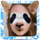 Animal Face Photo Montage APK