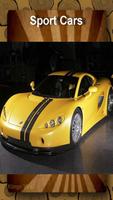 Top 100 Sport Cars HD Wallpaper 截圖 2