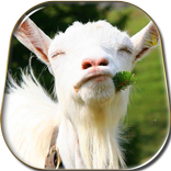 Goat Live Wallpaper