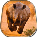 Rhino Kiss Live Wallpaper APK