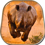 Rhino Kiss Live Wallpaper