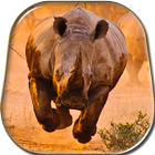 Rhino Kiss Live Wallpaper-icoon