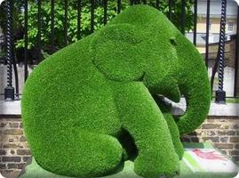 برنامه‌نما Topiary Artwork عکس از صفحه