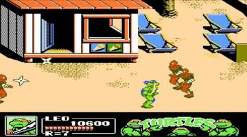 Mutant Ninja Turtеs 3 Nes পোস্টার