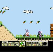 Tiny Toon Adventures ポスター