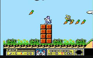 Tiny Toon Adventures Screenshot 1