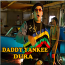 Daddy Yankee - Dura Lo Mas Nuevo Musica APK