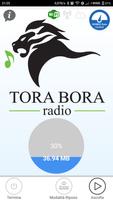 پوستر Tora Bora Radio Player