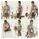 Tutorials Exercise Training APK