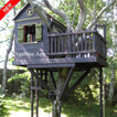 Tree House Thiết kế Ý tưởng