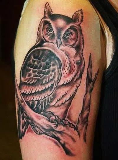 Tribal Owl Tattoo Designs APK for Android Download Tribal Owl Tattoo Designs APK for Android Download