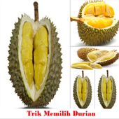 Tricks Choosing Durian icon