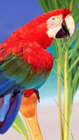 برنامه‌نما Tropical Live Wallpaper عکس از صفحه