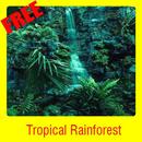 Tropical Rainforest APK