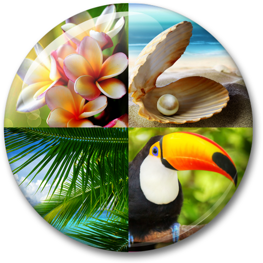 Tropicales Fondo de Pantalla