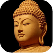 Truyện Đạo Phật - Truyện Phật Pháp - Phật Giáo