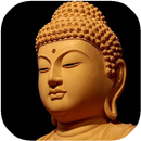 Truyện Đạo Phật - Truyện Phật Pháp - Phật Giáo APK