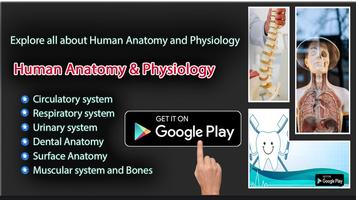 Anatomy Learning Affiche