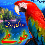 Parrot Care in Urdu