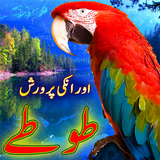 Parrot Care in Urdu simgesi